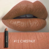 FOCALLURE Matte Waterproof Long Lasting Lipstick